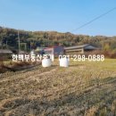 양지-2790 이미지