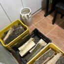 가야산금바우 이미지