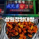 정양곱창 | 부산 사상 구워주는 양곱창 찐맛집 성원정양대창 사상점 내돈내산