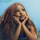 인어공주 이미지