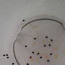 새한약국 이미지