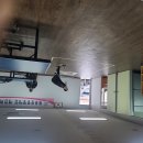 중증장애인애인회 이미지