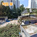 오성벌목