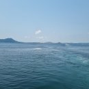 제주도민의 우도여행(전기자전거,하하호호 버거,지미스 땅콩 아이스크림,우도머뭄 게스트하우스, 소섬...