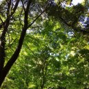 공인씨엠번역행정사 사무소 이미지