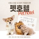 닥터장 동물의료센터 이미지