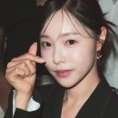 시이안 이미지