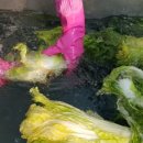 이명희농장 이미지