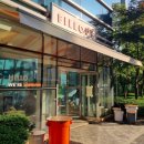 목련로22번길R | [공지] [서울/상암] 필아웃 상암점 두바이 쫀득 쿠키 내돈내산 후기｜웨이팅/구매시간 정보