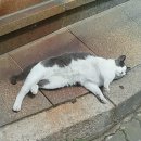 모퉁이PC 이미지