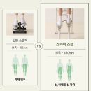 엑사이더 천국의계단 스텝밀 스카이 스텝퍼 후기, 집에서 하체가 이렇게 불타오를 수 있다니!