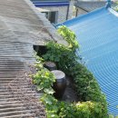 말랭이마을 영화관 이미지