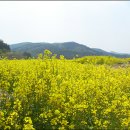 낙동강관리본부 대저생태공원 2 이미지