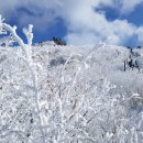 덕유산(신년산행) 이미지