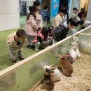 쥬쥬랜드 이미지