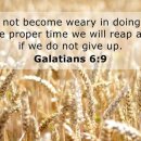 Verse of the day and prayer_260513 이미지