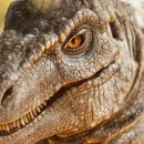 아크게임스튜디오(주) 이미지