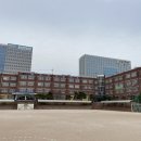 송은영유반외과의원 | #63. 코끼리 가족 I 맘모톰 수술(송은영유반외과의원), 잠깐의 일탈, 요리왕 비룡