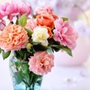 서브힐링 이미지