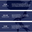 판권 때문에 난리난 챔피온 ASIA 블루택 11.5oz 리버스위브 후드집업 구매후기