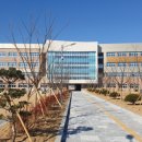 울릉서중학교 이미지