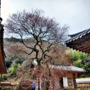 지리산호수공원 이미지