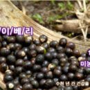 천혜식품