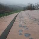 도천리 공룡 발자국 이미지