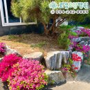 돌담요양병원 이미지