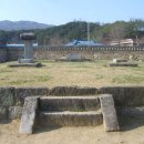 순흥의 연리지송 이미지