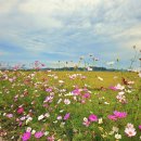 꽃길따라 이미지