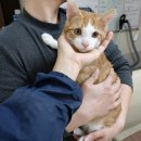 쌍용사거리 이미지