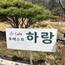 포레스트 하랑