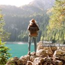 종합행정사 이미지