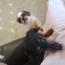 마오네 문덕점 이미지