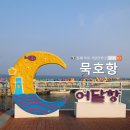 묵호항 자연산 수산물 판매시장 | [묵호] 묵호 어달항 동해 묵호항 동해 묵호 여행 어달항 포토스팟