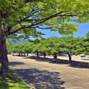 독립기념관 이미지