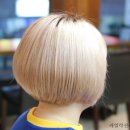 라일락신헤어 이미지