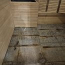 파라다이스목욕탕 이미지