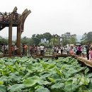 회산백련지 잔디광장 이미지