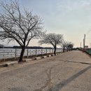 안막배수펌프장 이미지