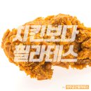 여우공간