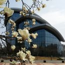 천천 공인중개사사무소 이미지