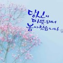 언제나봄날