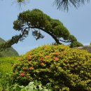 하늘물빛정원 이미지