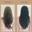 샴프네집 | 봄비유 한올 맥주효모 탈모샴푸로 집에서 간편하게 홈케어 한 후기 (직접사용)