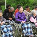 줄로 하는 공연 <점> 이미지