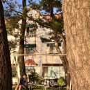 조교보건진료소 이미지