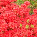 은혜동산 이미지