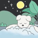 더펫살롱 이미지